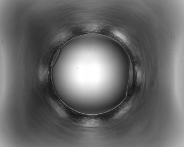X0000087040597200704181217