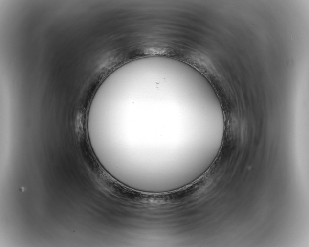 X0000087040598200704181217