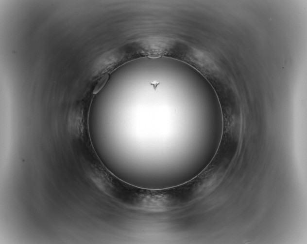 X0000087040599200704181217