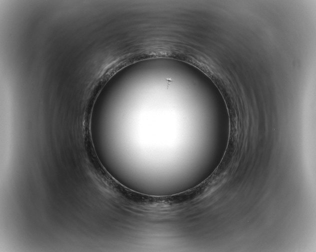X0000087040600200704181217