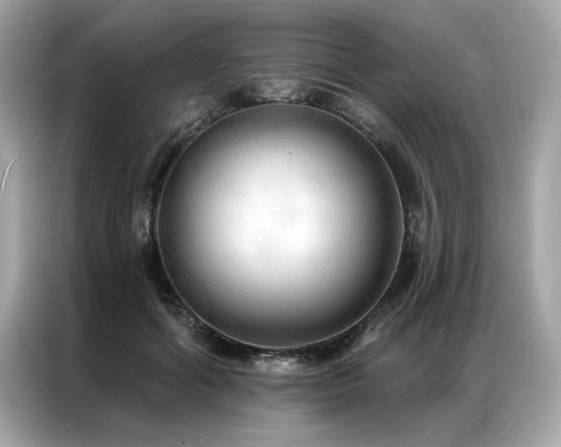 X0000087040602200704181217