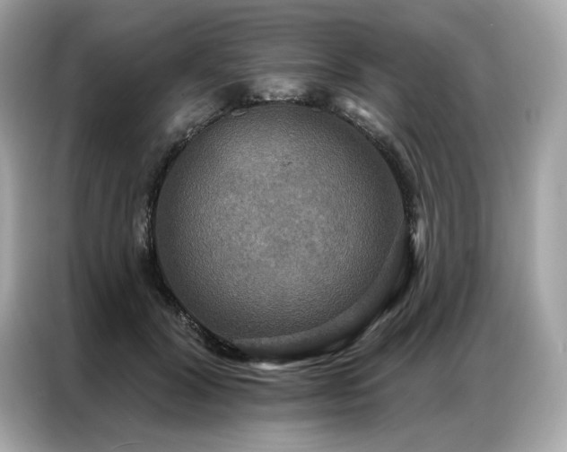 X0000087040604200704181217