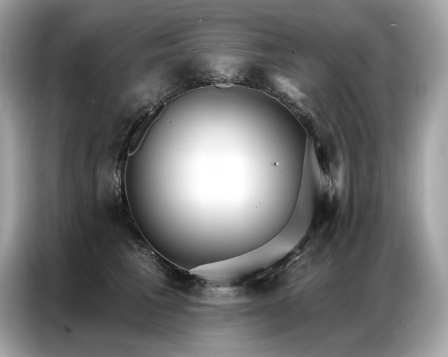 X0000087040613200704181217