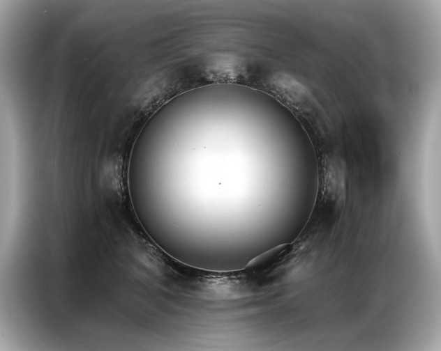 X0000087040616200704181217