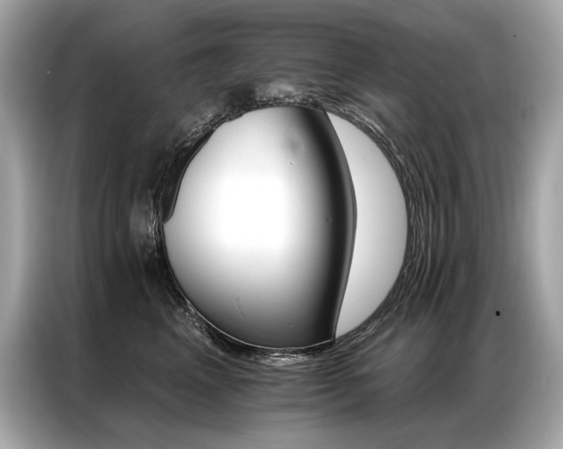 X0000087040617200704181217
