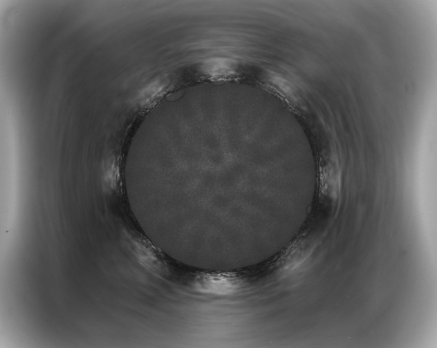 X0000087040618200704181217