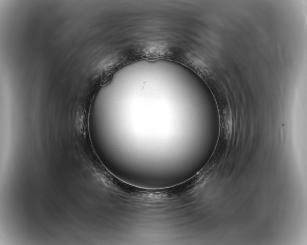 X0000087040619200704181217