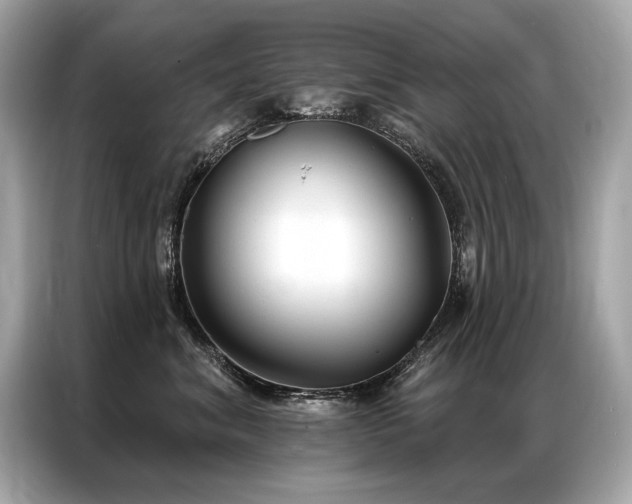X0000087040620200704181217