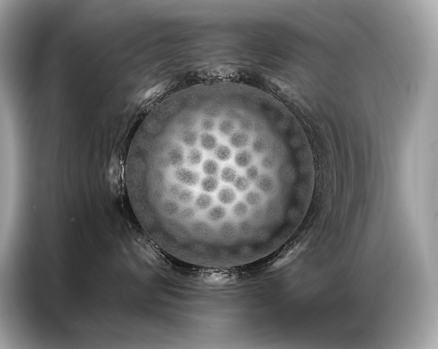X0000087040624200704181217