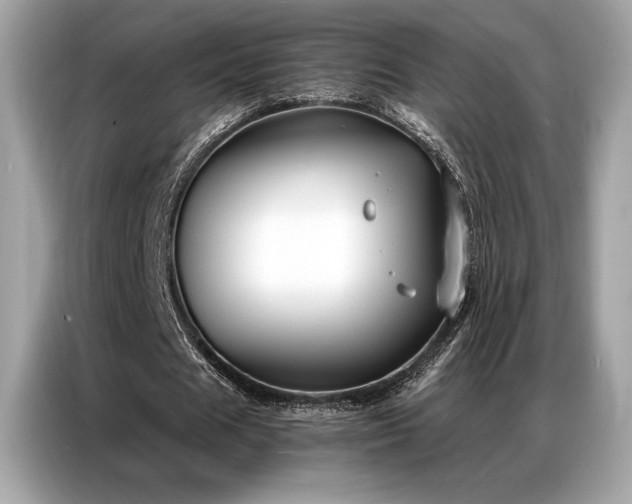 X0000087040625200704181216