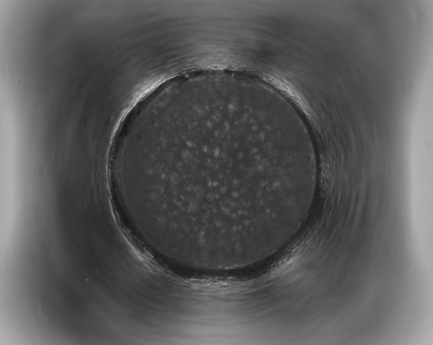 X0000087040626200704181216