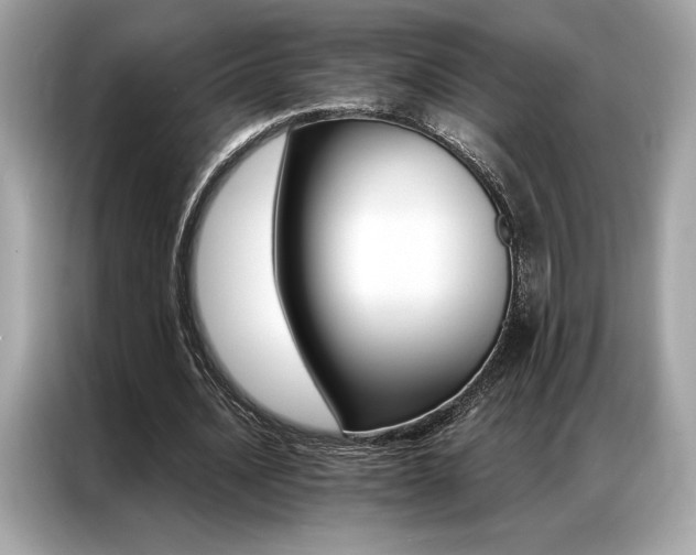 X0000087040628200704181216