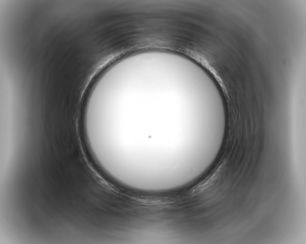 X0000087040629200704181216