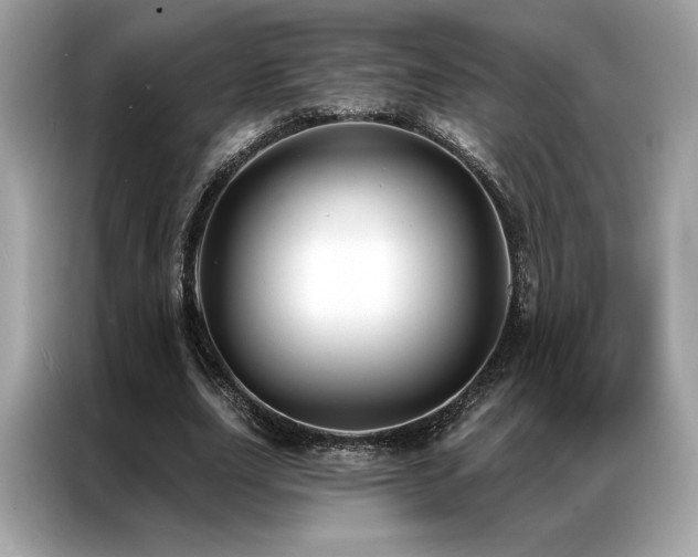 X0000087040631200704181216