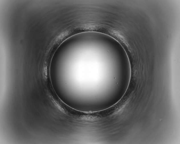 X0000087040633200704181216