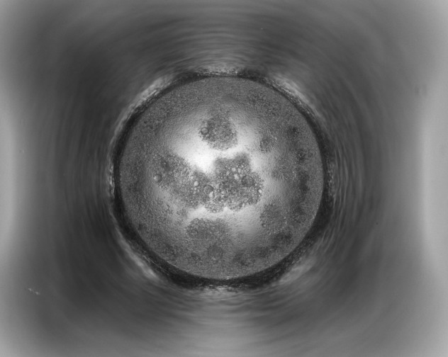 X0000087040634200704181216
