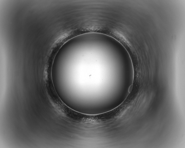 X0000087040635200704181216