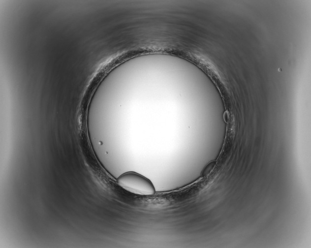 X0000087040636200704181216