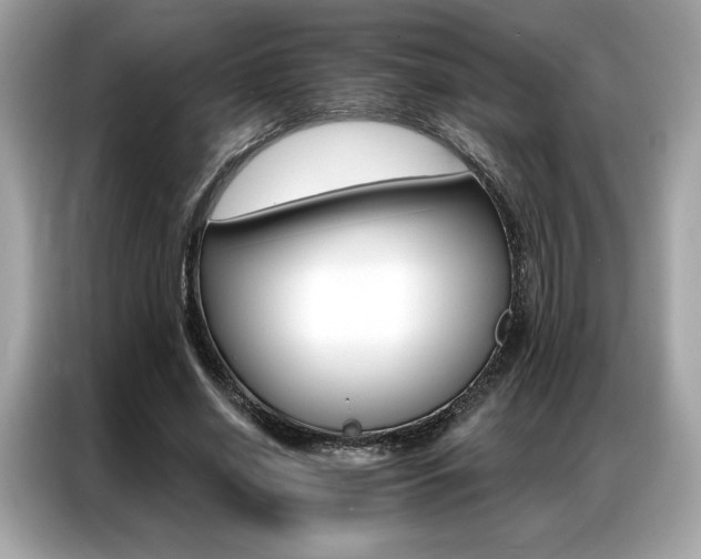 X0000087040638200704181216