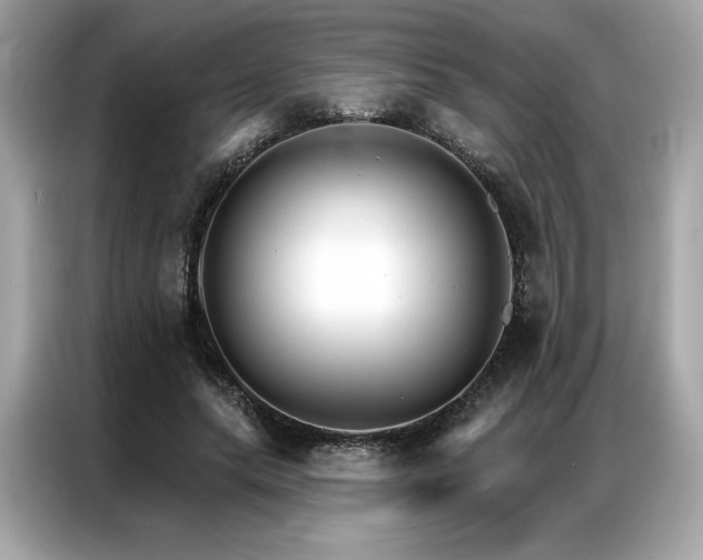 X0000087040639200704181216