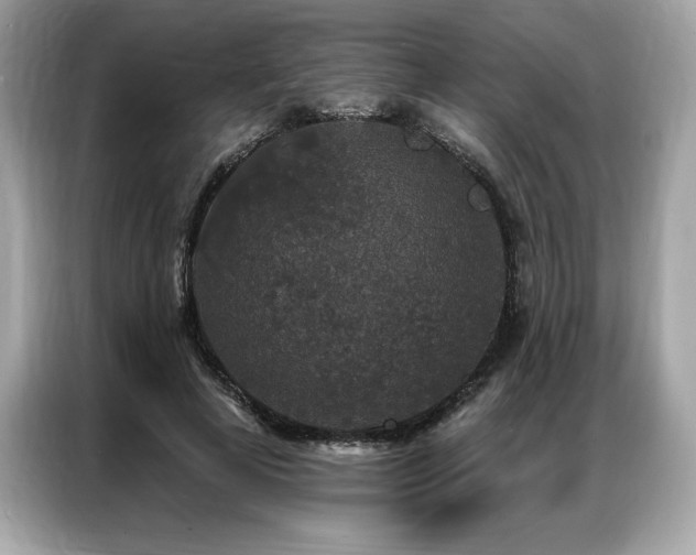 X0000087040641200704181216