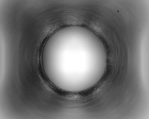 X0000087040642200704181216