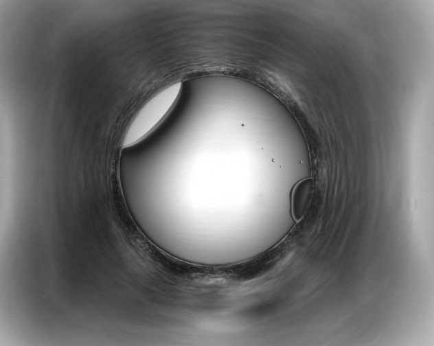 X0000087040643200704181216