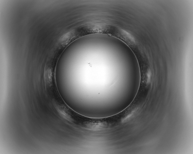 X0000087040646200704181216