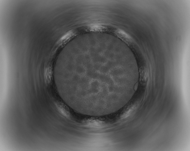 X0000087040648200704181216