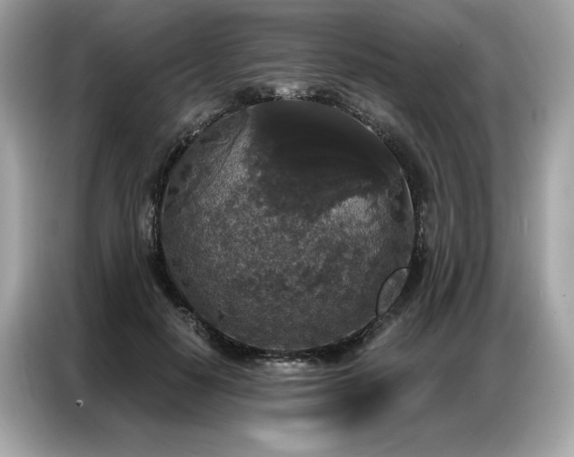 X0000087040650200704181216