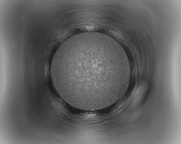 X0000087040651200704181216