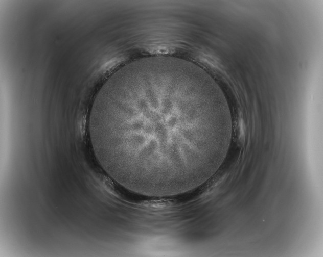 X0000087040652200704181216