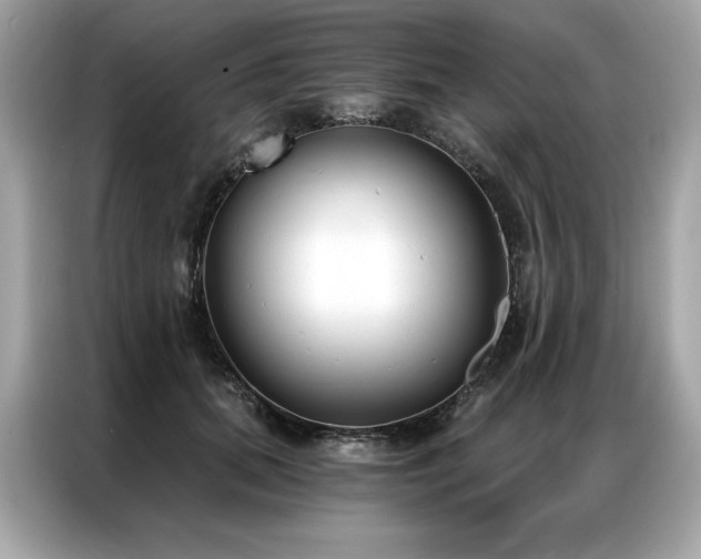 X0000087040655200704181216