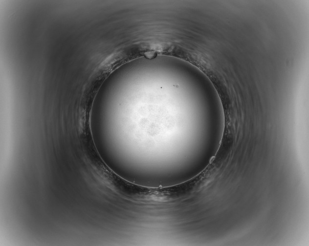 X0000087040656200704181216
