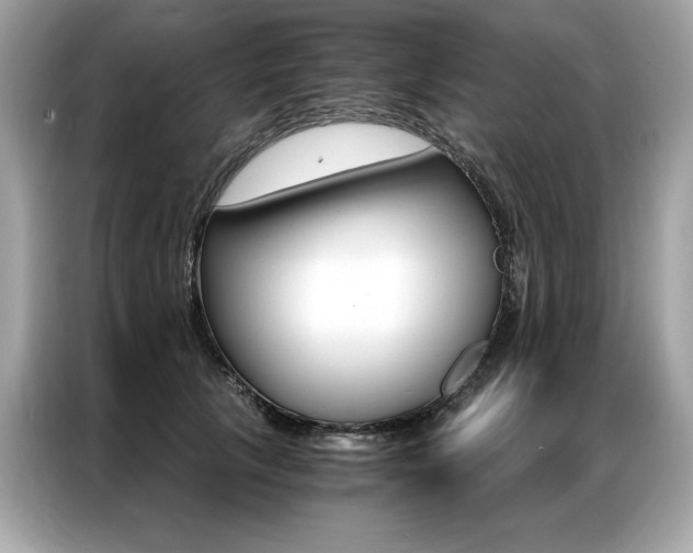 X0000087040657200704181216