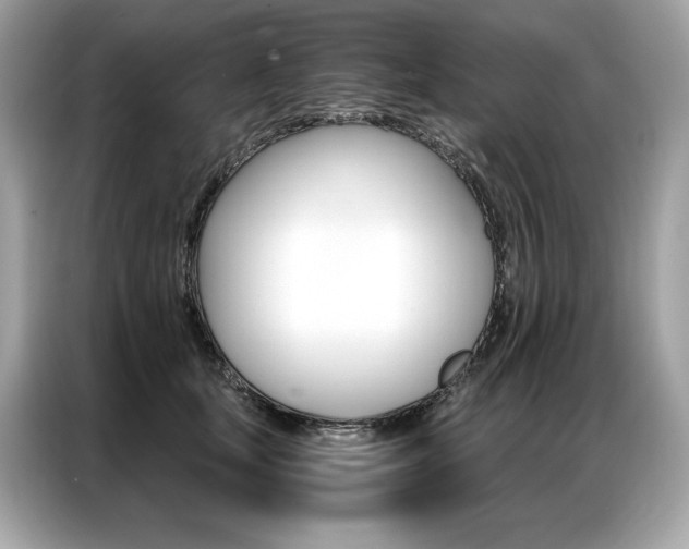 X0000087040659200704181216