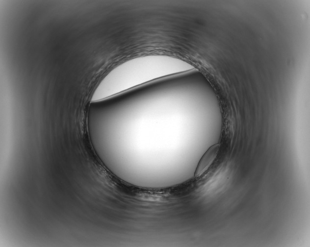 X0000087040661200704181216