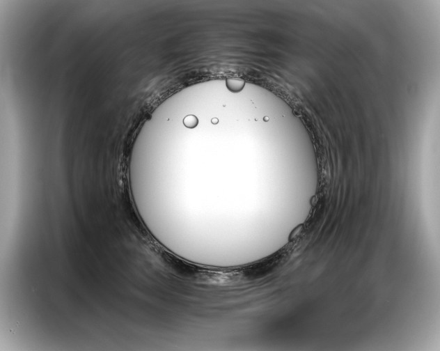 X0000087040663200704181216