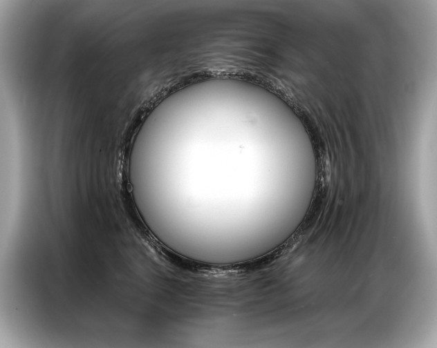 X0000087040664200704181216