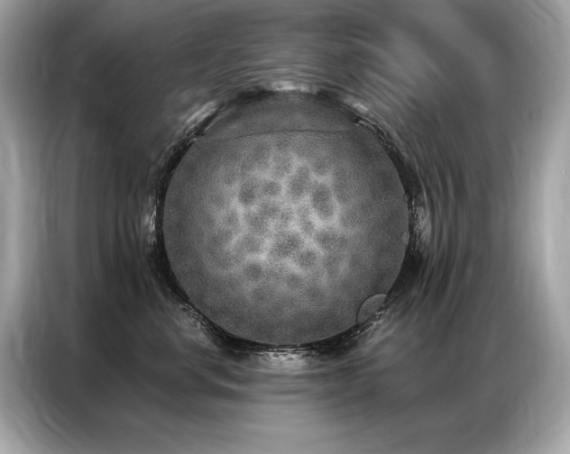 X0000087040668200704181217