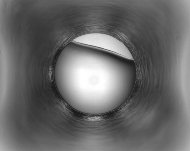 X0000087040669200704181217