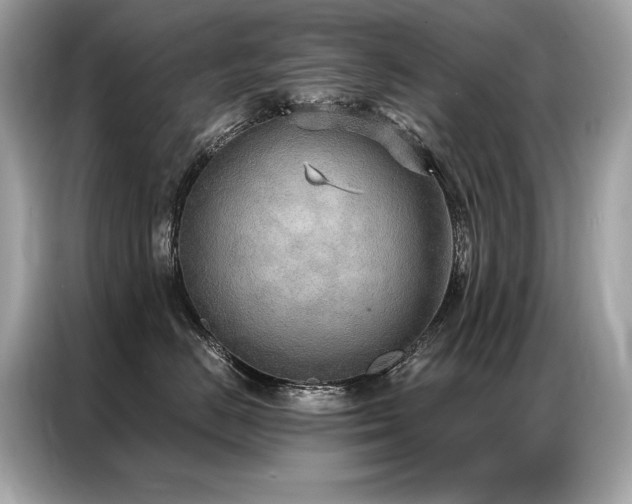 X0000087040670200704181217