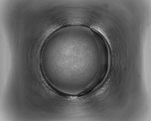 X0000087040673200704181216