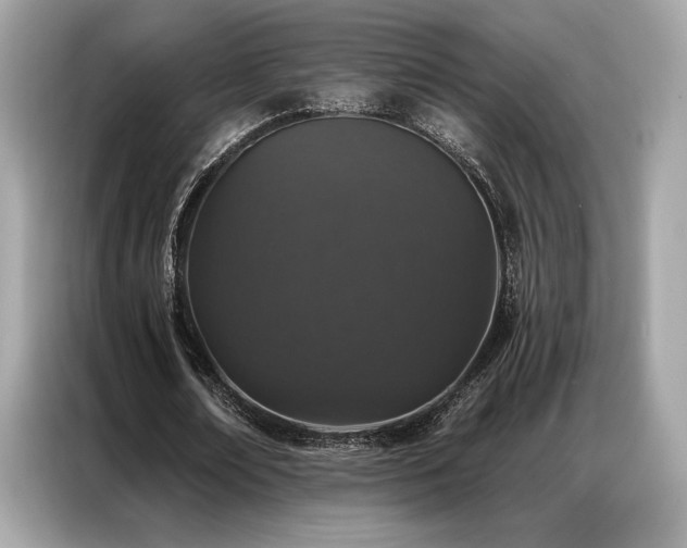 X0000087040674200704181216