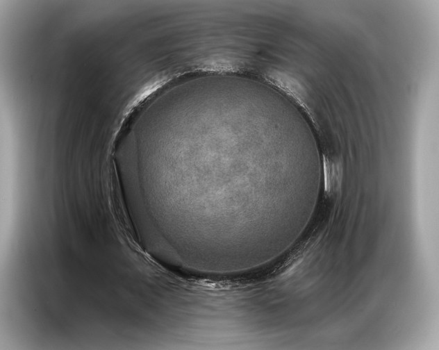 X0000087040675200704181216