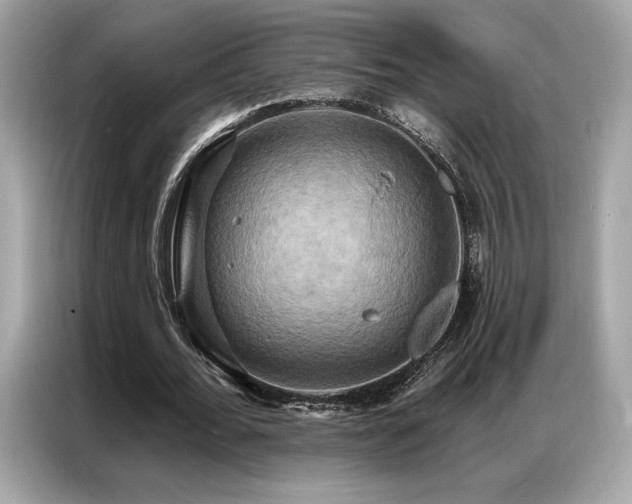 X0000087040676200704181216