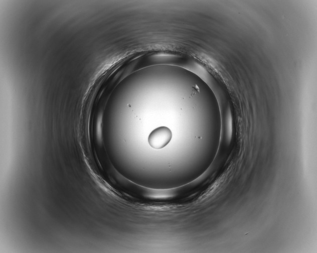 X0000087040677200704181216