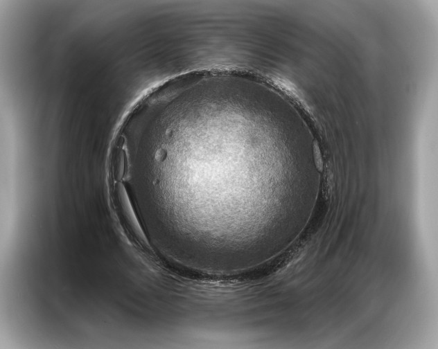 X0000087040680200704181216