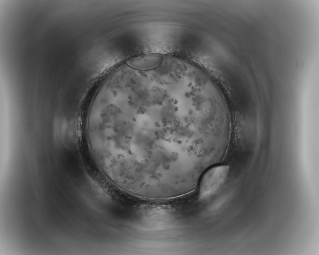 X0000087040683200704181216