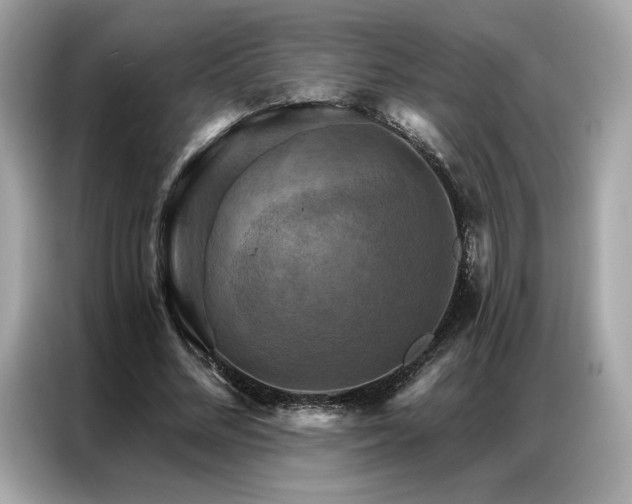 X0000087040684200704181216